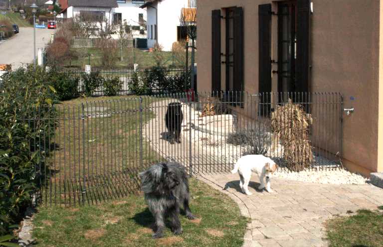 Der Garten Zaun als Hundegehege