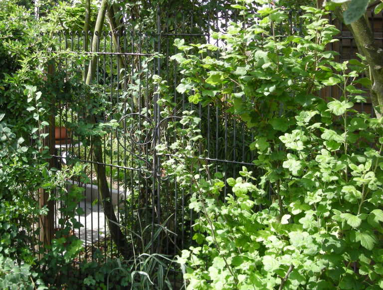 Der Garten Zaun als Schutzzaun zu Ihrem Garten