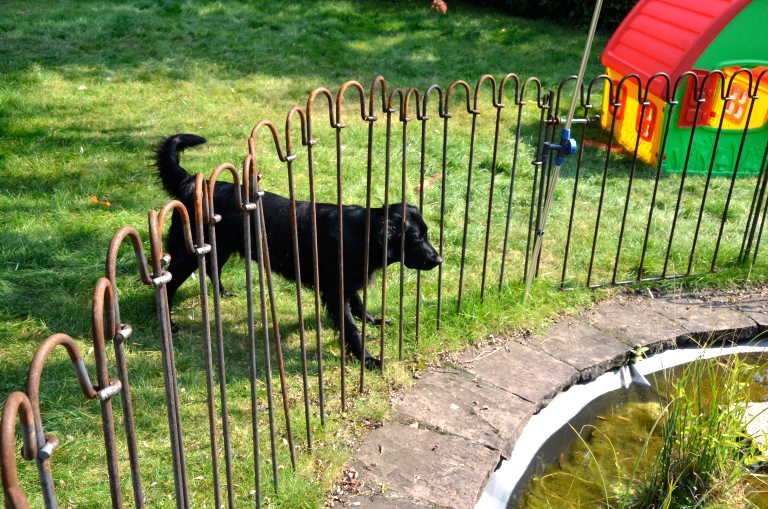 Der Gartenschutz Zaun hält Hunde von Ihrem Gartenteich fern.