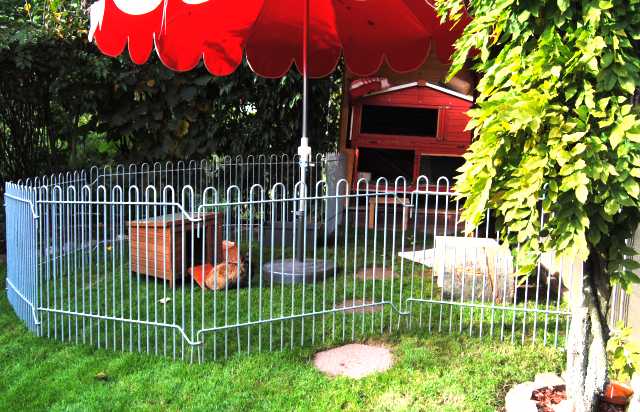 mobile Zaun Gitter als Kaninchen-Gehege, sicheren Auslauf für Ihre Hasen und Kleintiere (leicht zum transportieren)
