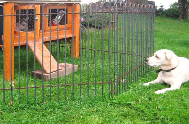 mobile Hunde-Gitter trennt Kaninchen vom Hund, Zaun lässt sich flexibel umbauen und versetzen
