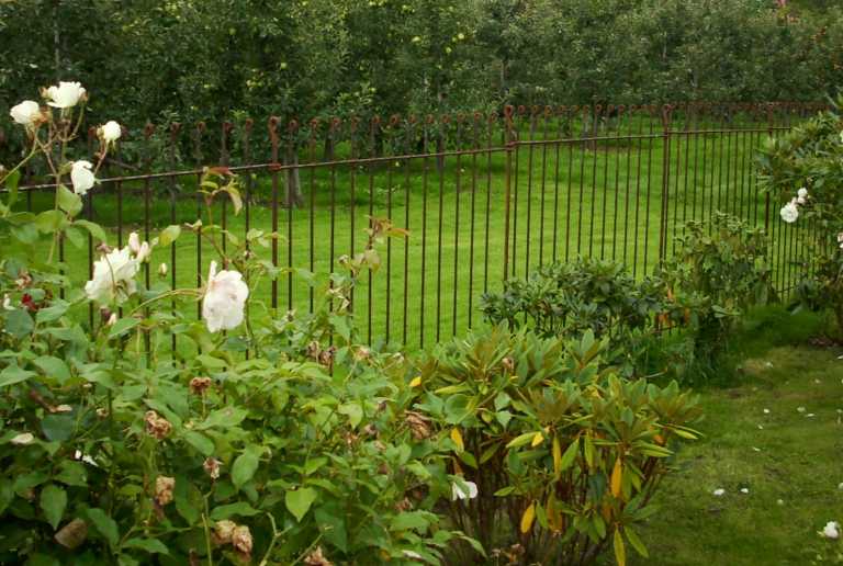 Gartenzaun zwischen Rosensträucher und Apfelbäumen als Grundstückabtrennung